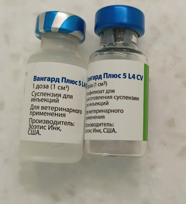 ВАКЦИНА которой вакцинируются все собаки питомника